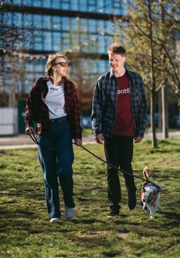 Meatfly